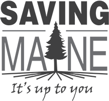 Saving Maine